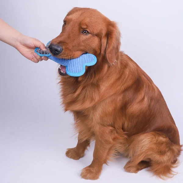 Plush Bone Squeaky Dog Toy for Chewing and Interactive Play