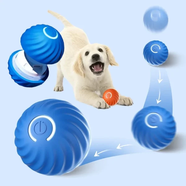 Smart Moving Dog Ball for Interactive Play and Daily Enrichment