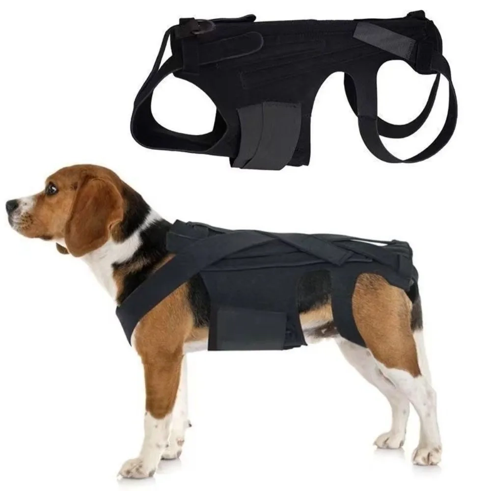 Pet Back Support Vest - Image 3