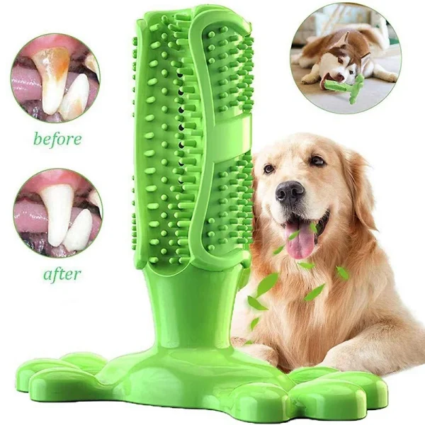 Squeaky Dog Toothbrush Chew Toy