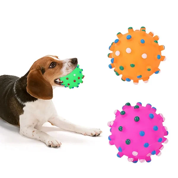 Interactive Spiky Dog Ball Toy