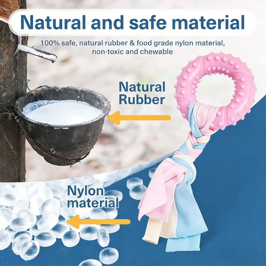 Interactive Molar Stick Dog Toy - Image 2