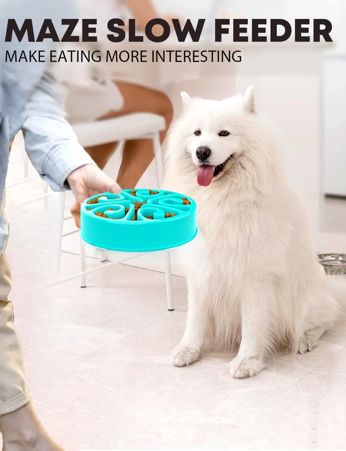 Non-Slip Slow Feeder Bowl for Dogs - Image 2