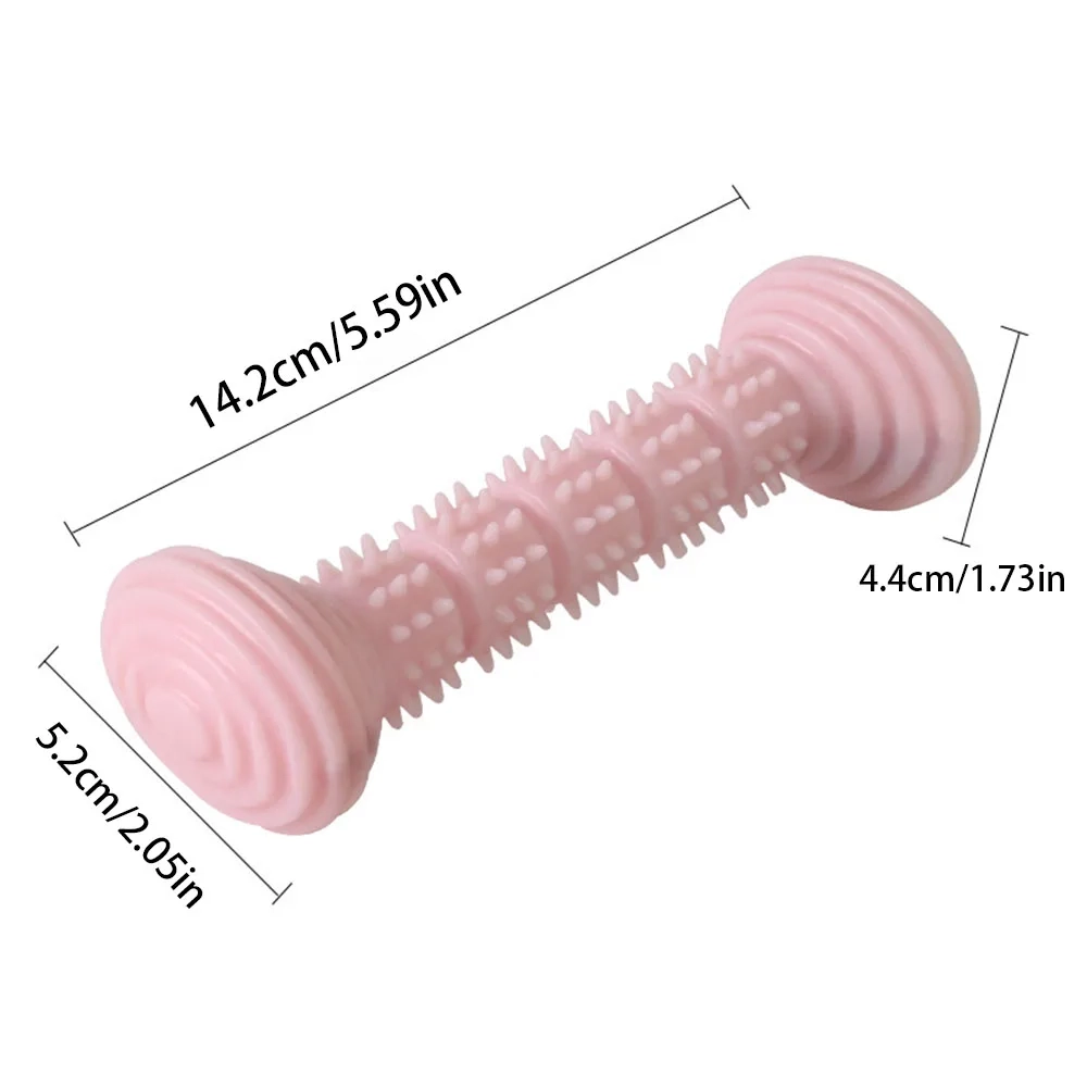 Interactive Dog Toothbrush Chew Toy - Image 5