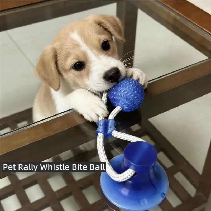 Suction Cup Tug Ball Dog Toy
