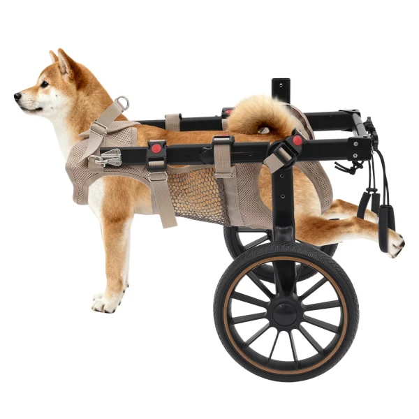 Adjustable Hind-Leg Support Cart