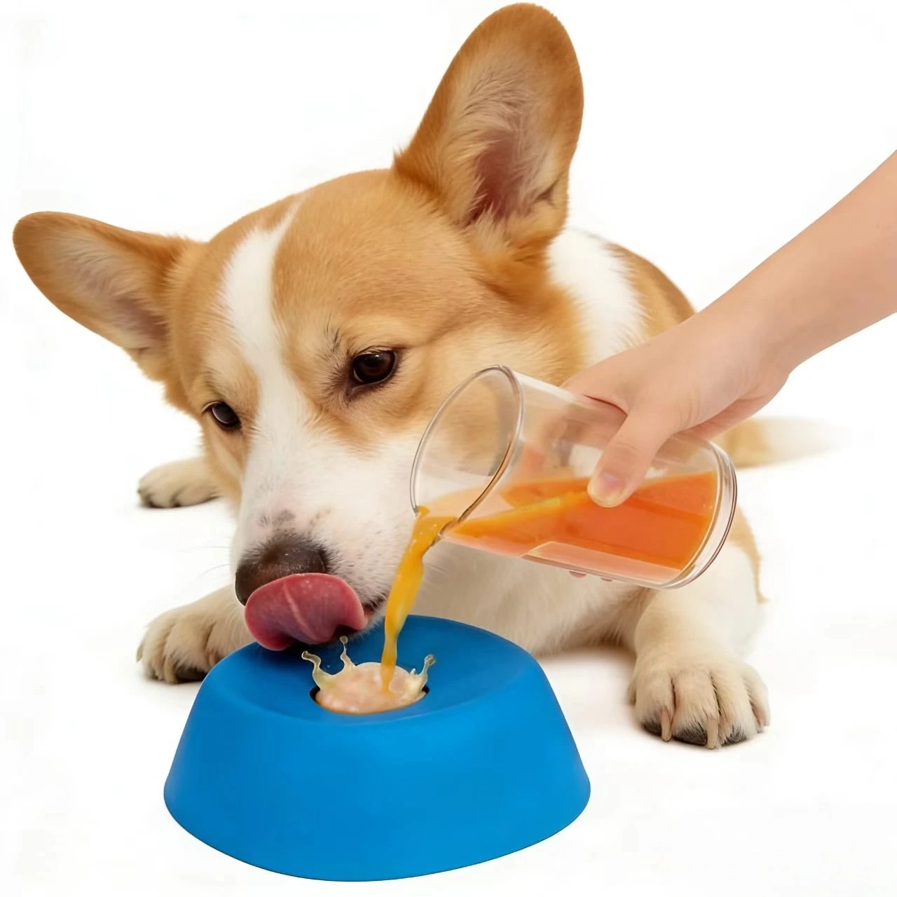 Anti-Slip Liquid Lick Bowl Slow Feeder for Dogs