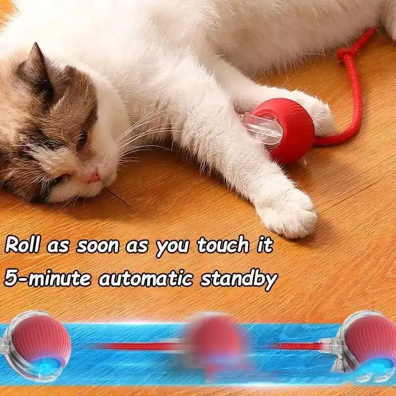 Smart Rolling Dog Ball - Image 4