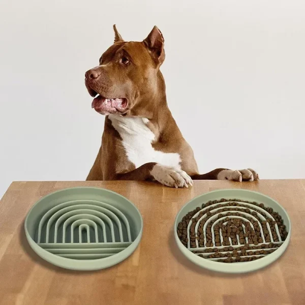 Silicone Slow Feeder Lick Mat Bowl for Dogs