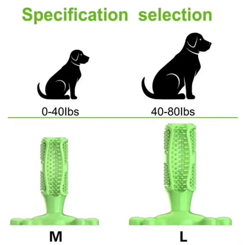 Squeaky Dog Toothbrush Chew Toy - Image 4