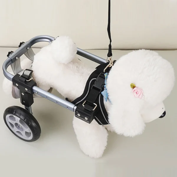 Hind Leg Rehab Mobility Cart