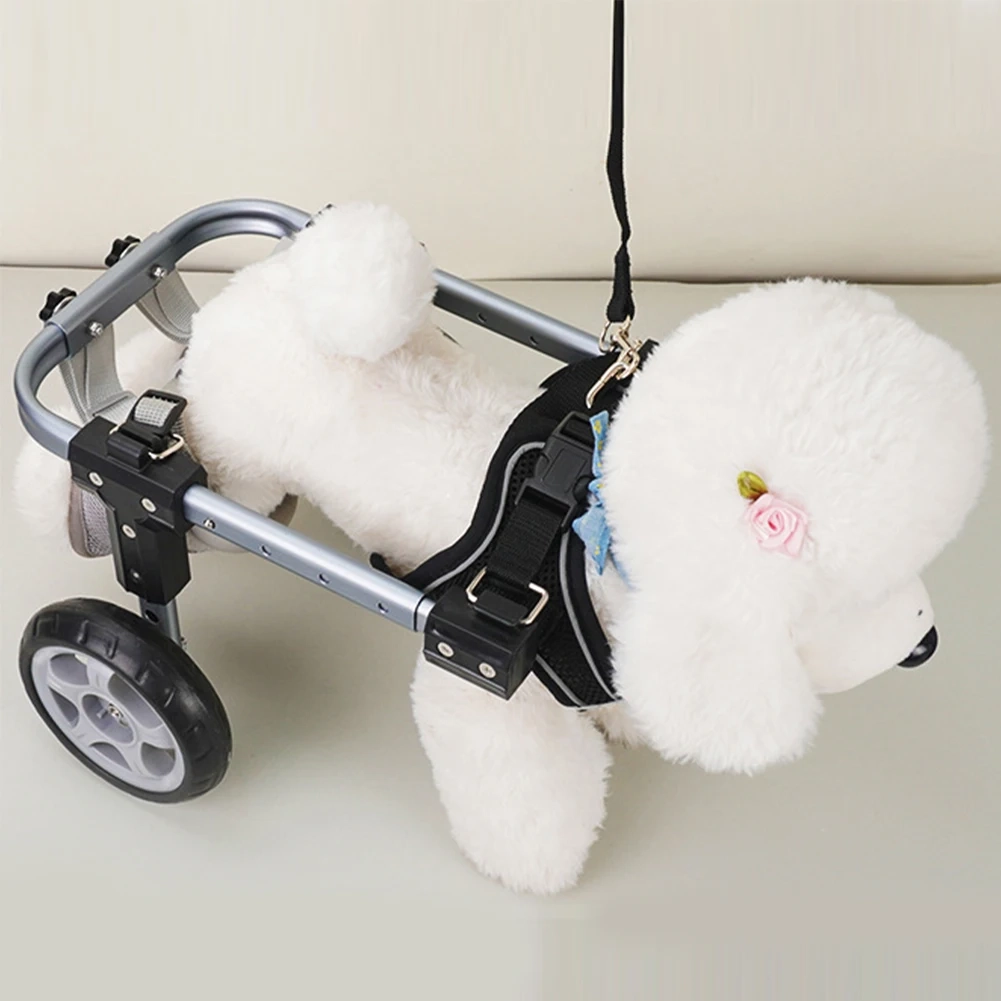 Hind Leg Rehab Mobility Cart