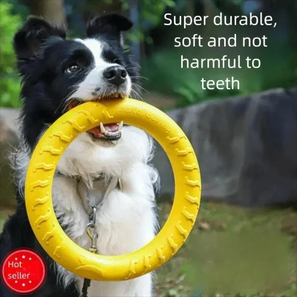 Interactive Dog Training Toy