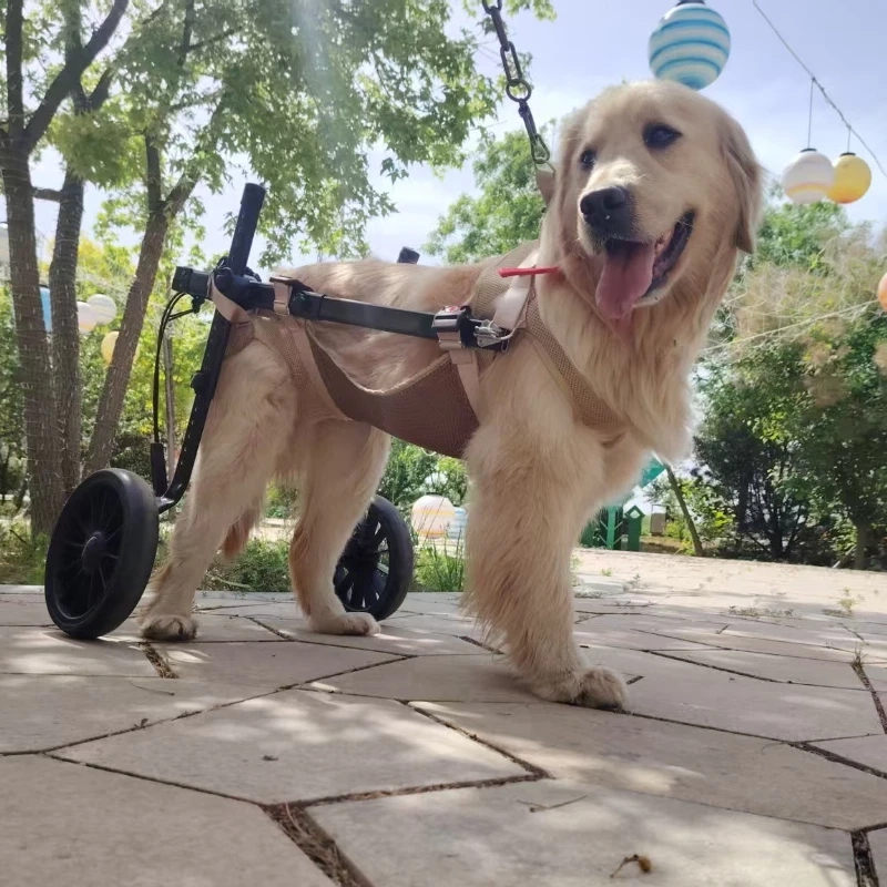 Large Dog Rehab Mobility Cart - Image 4