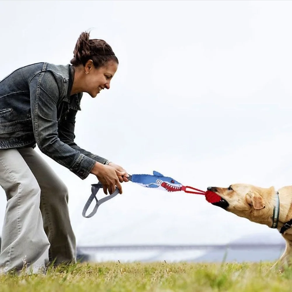 Plush Rope Tug Squeaky Toy - Dental Teething and Play - Image 3