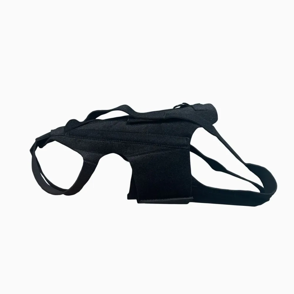 Pet Back Support Vest - Image 4