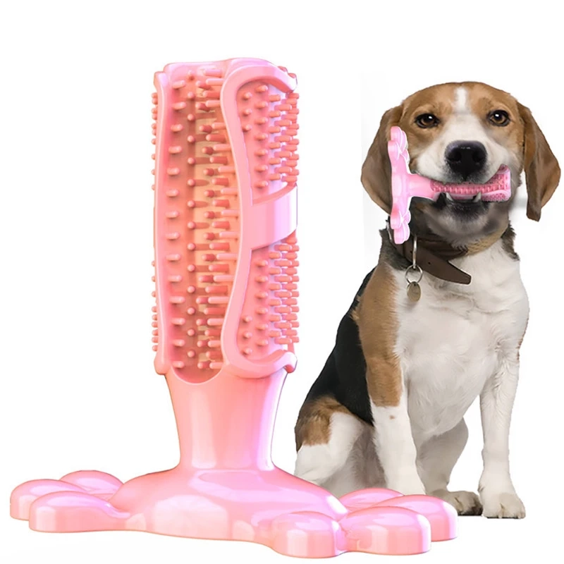 Squeaky Dog Toothbrush Chew Toy - Image 9