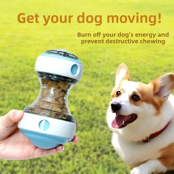 Rolling Treat Puzzle Ball