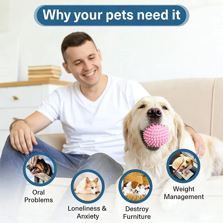 Interactive Molar Stick Dog Toy - Image 4