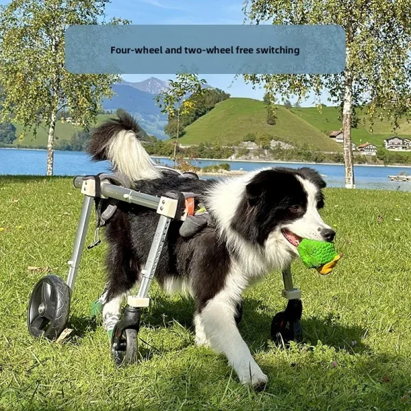 Four-Wheel Dog Mobility Cart