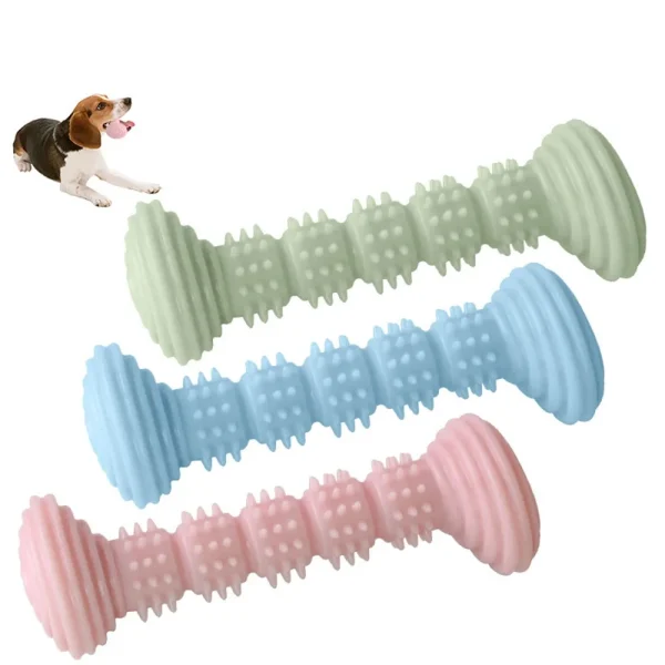 Interactive Dog Toothbrush Chew Toy