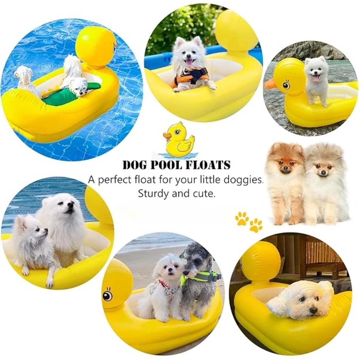 Inflatable Pet Pool Float - Image 3