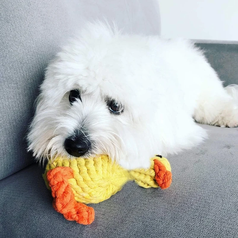 Braided Yellow Duck Squeaky Plush Dog Toy