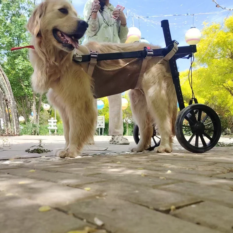 Rear Leg Support Dog Wheelchair - Image 2