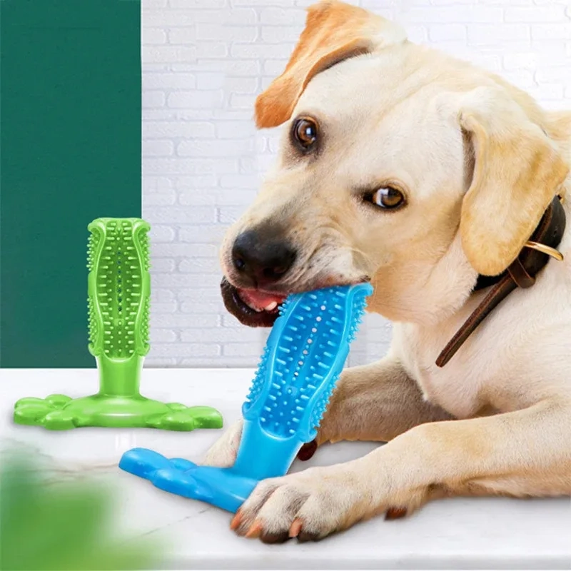 Squeaky Dog Toothbrush Chew Toy - Image 2