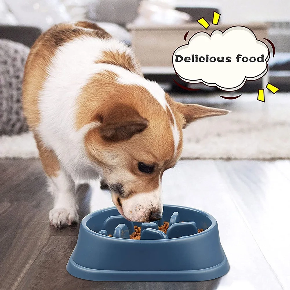 Non-Slip Slow Feeder Puzzle Bowl for Small and Medium Dogs - Image 5